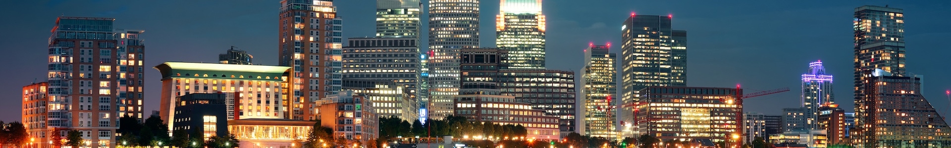 Cognicity Banner
