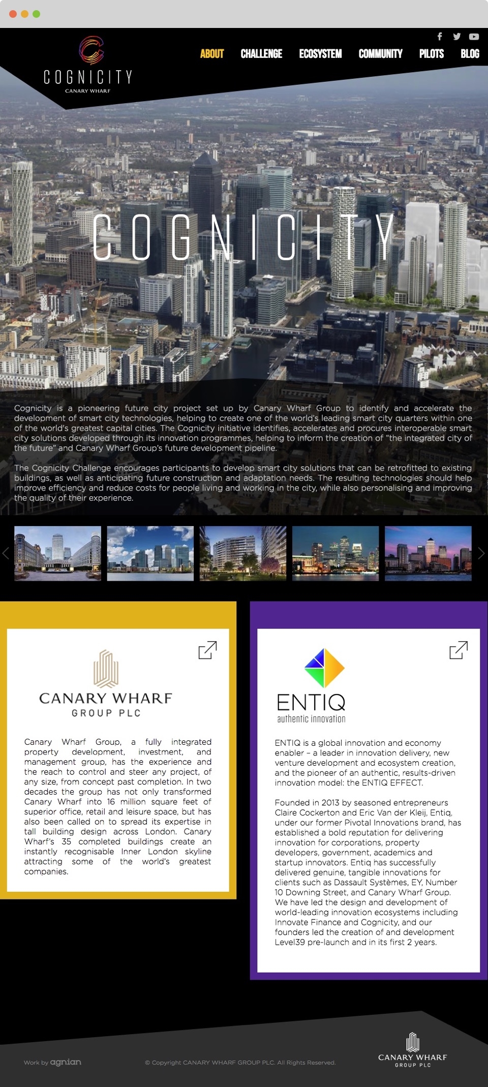 Cognicity Website Home Page