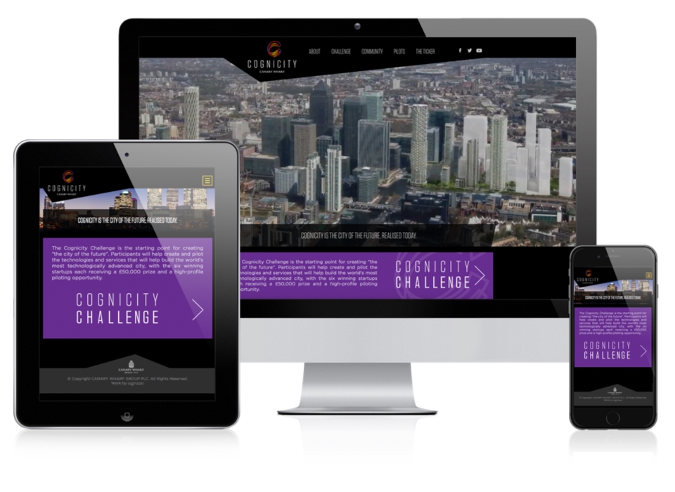 Cognicity - Mobile Layout